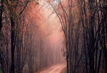 BB体育:意天空:国米多名伤员进行个人训练,劳塔罗有疲劳症状.