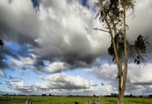 WTA迈阿密站:郑钦文两盘不敌萨巴伦卡遭遇六连败.